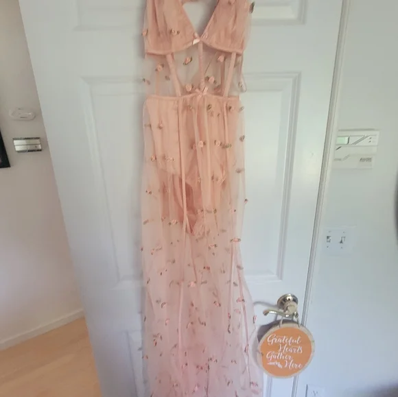 For Love & Lemons sheer Maxi Rose dress - Picture 10 of 13